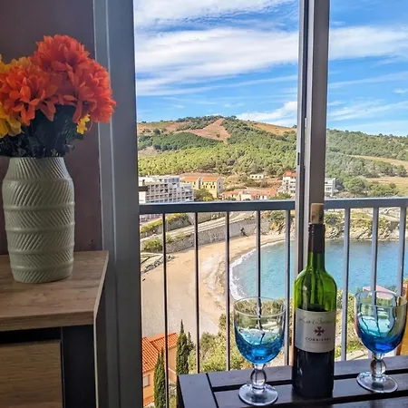 T2 Vue Exceptionnelle Proche De Collioure